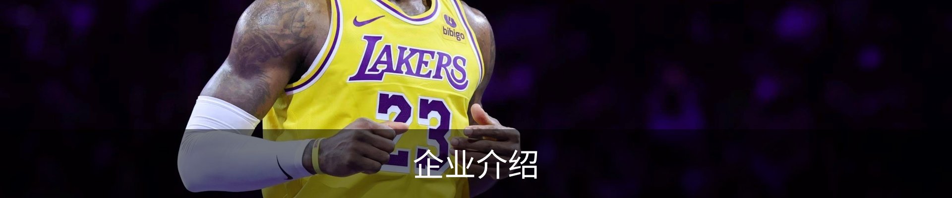 内页banner